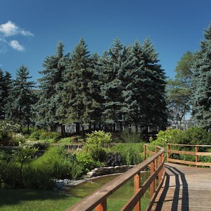 Quoi faire à Montréal : Jardin du Canada au parc jean-drapeau