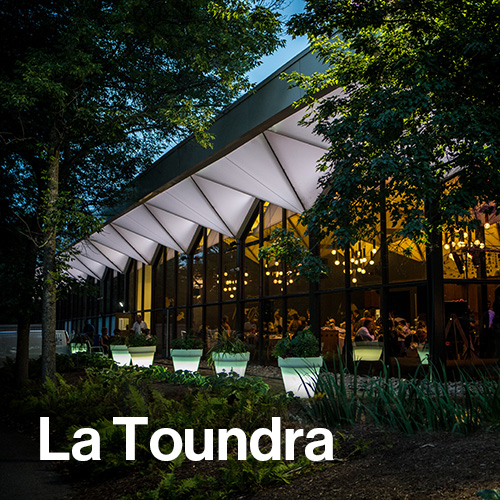 La Toundra